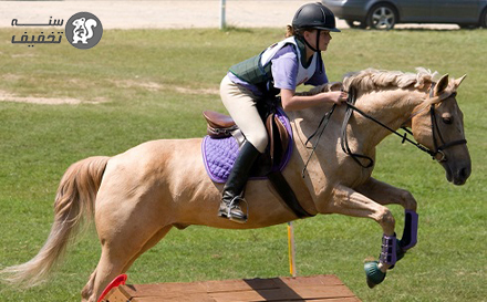 گشت آزاد  در باشگاه اسب سواری زرتشت سنندج